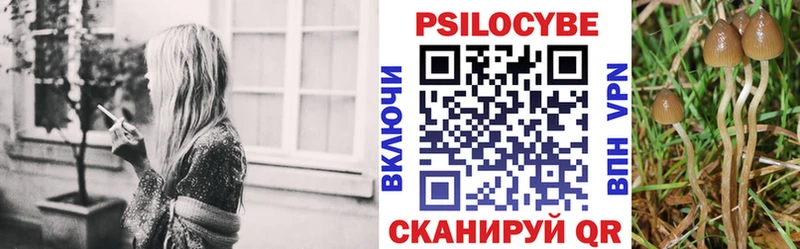 Галлюциногенные грибы ЛСД  где найти   Городовиковск 