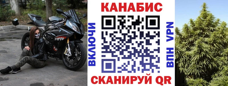 Бошки Шишки THC 21%  купить наркоту  Городовиковск 